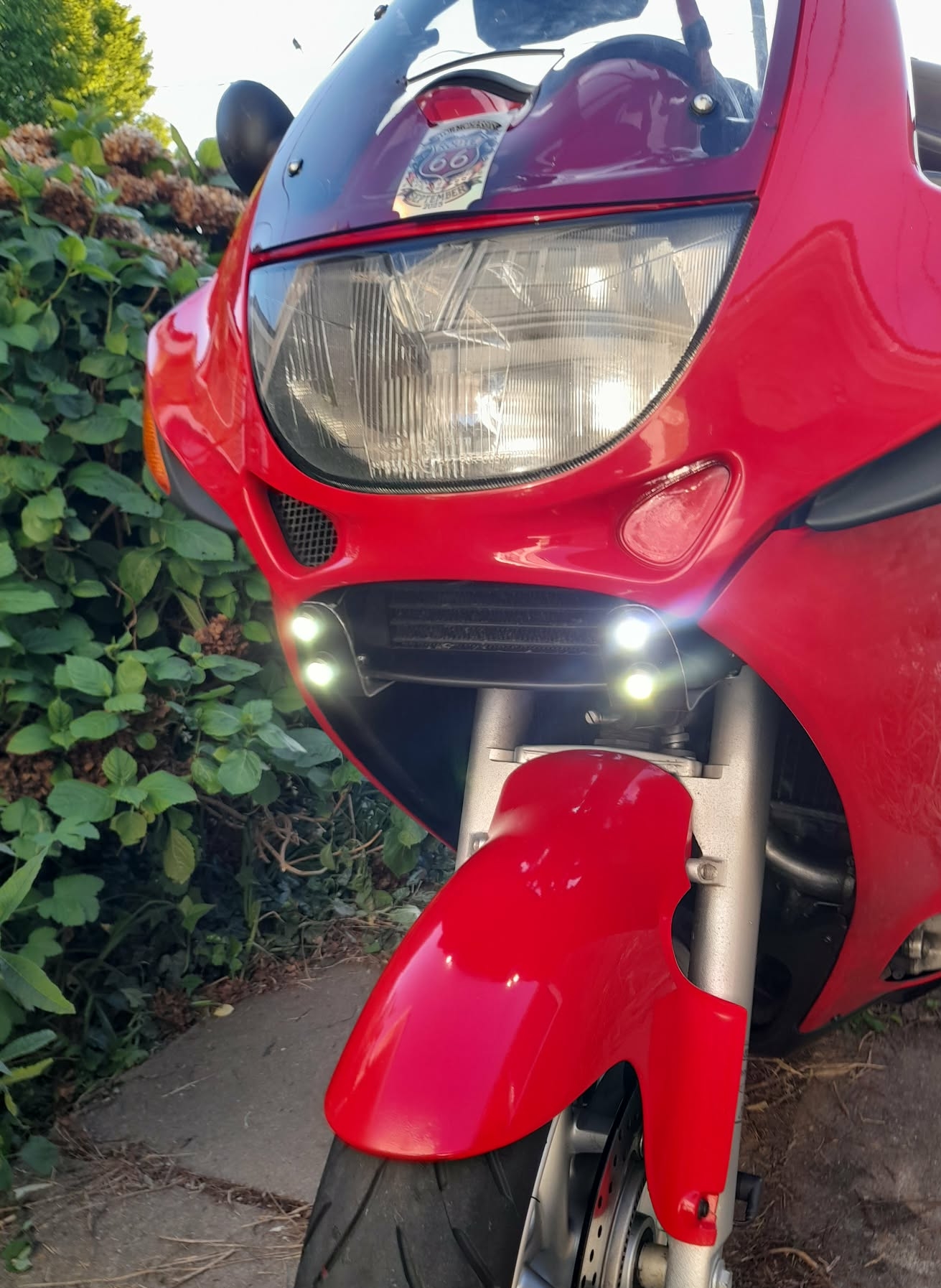 DRL4.jpg